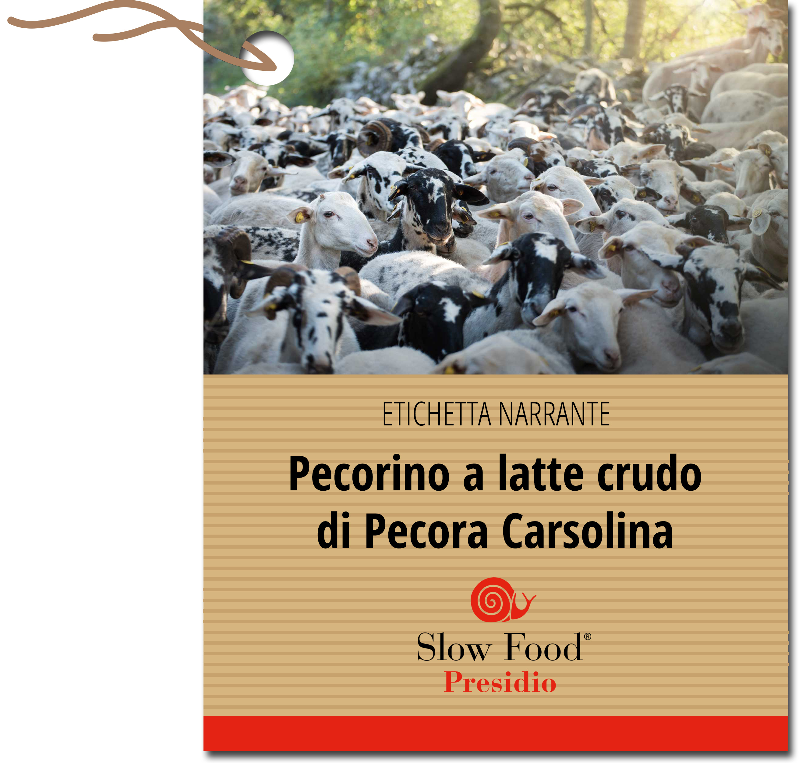 etichetta narrante slow food pecorino pecora carsolina