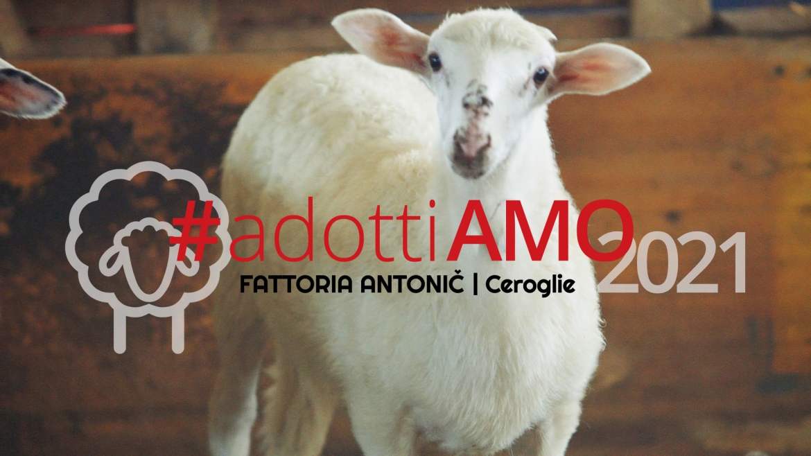 Adottiamo un agnellino edizione 2021