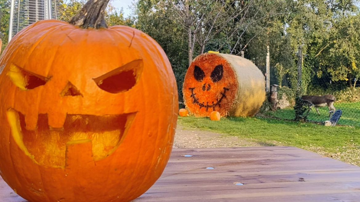 Halloween Trieste
