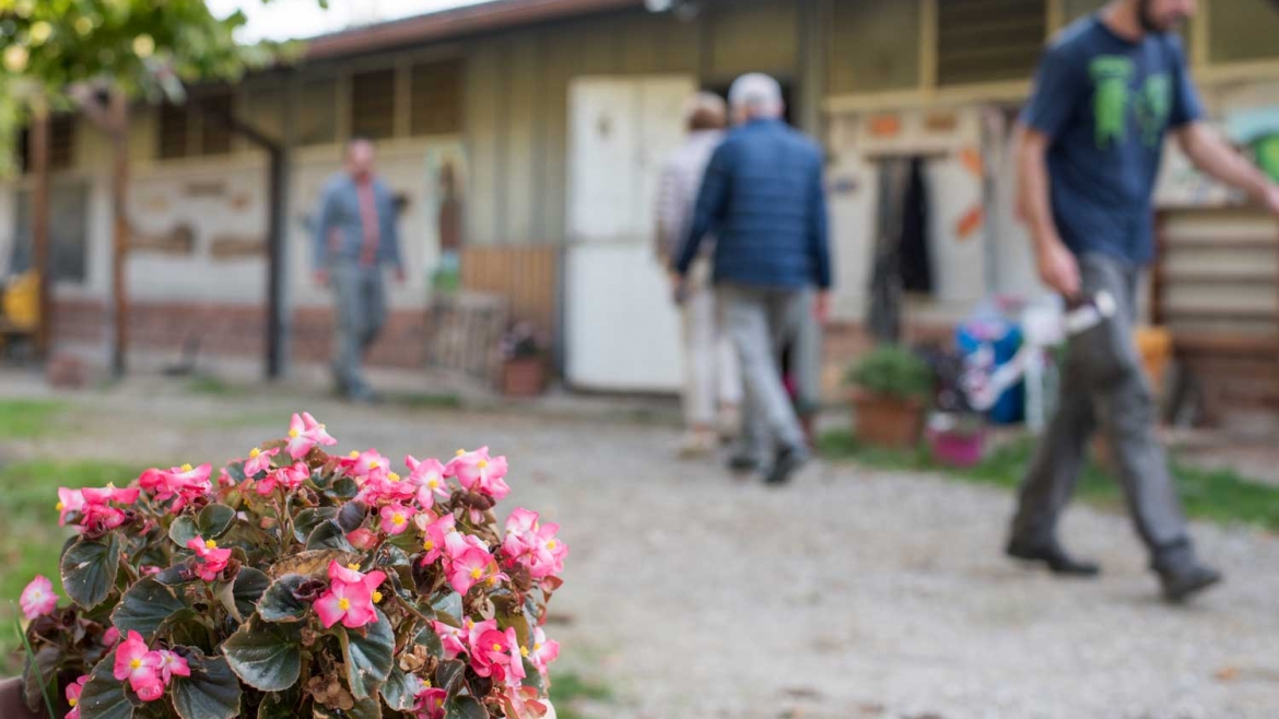 Fattoria Asino Berto Servizio Civile