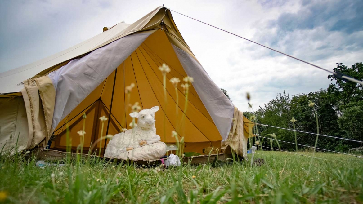 notti sotto le stelle carso