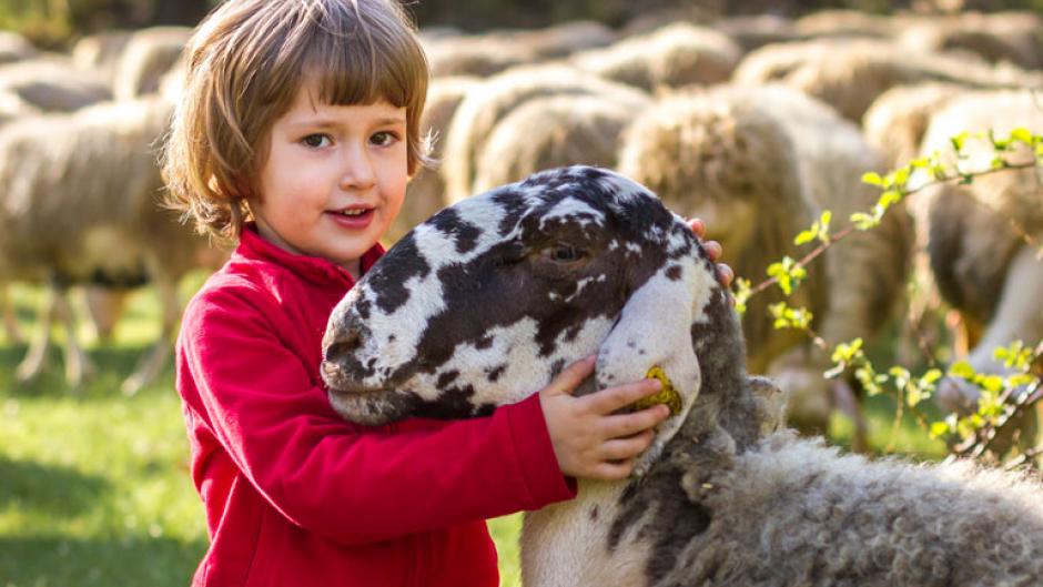 Agroparty Fattoria didattica asino berto ceroglie antonic