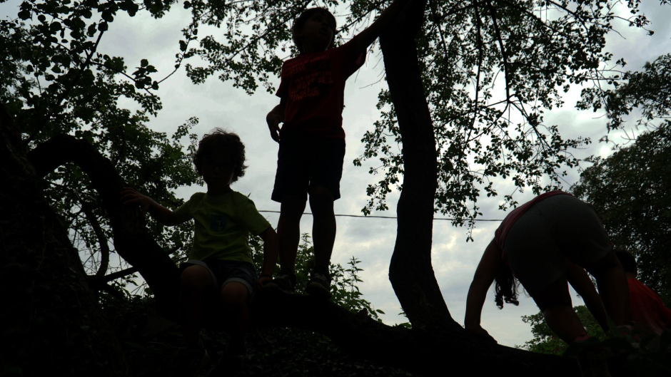 Asino Berto settimane estive 2026