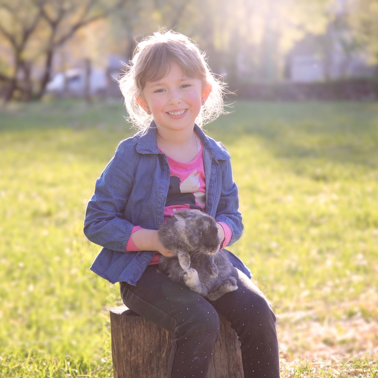 Asino Berto fattoria didattica settimane estive in fattoria open day 1 marzo 2020