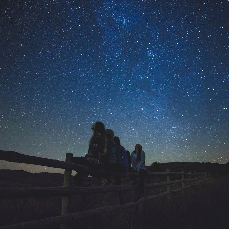 Asino Berto fattoria didattica notti sotto le stelle open day 1 marzo 2020