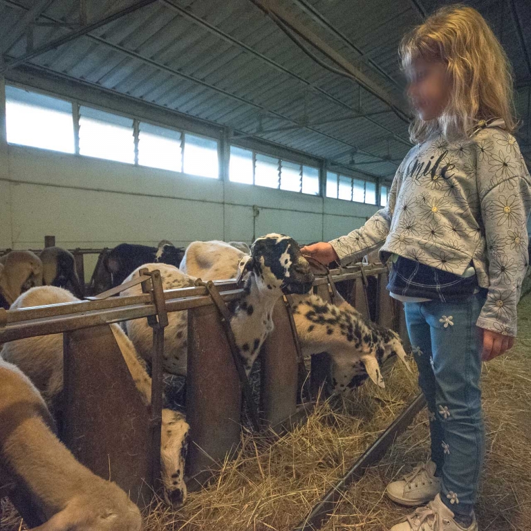 Asino Berto fattoria didattica settimane in fattoria estate open day 1 marzo 2020